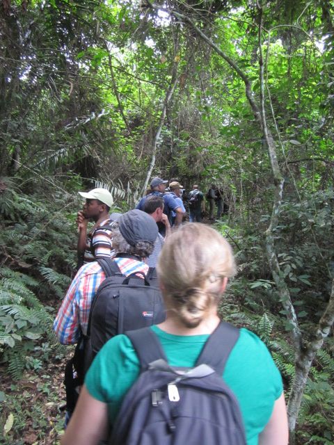 participants walking through the Kakum National Park © R Vagg UNEP/CMS