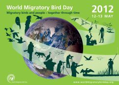 World Migratory Bird Day 2012 Poster