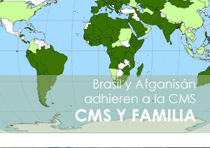 CMS montly banner