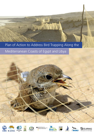 Cover Page PoA to Address Bird Trapping along the Mediterranean Coasts of Egypt and Libya 