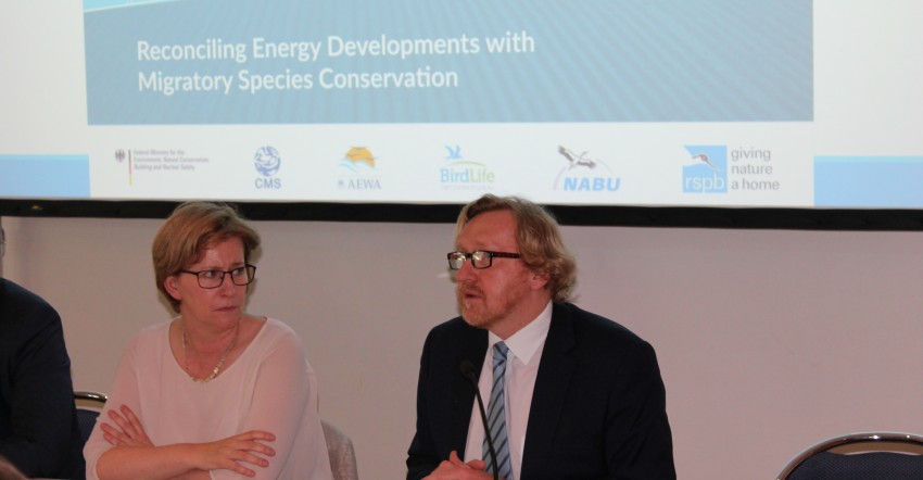 Opinion: Harmonize Renewables with Migratory Species Conservation