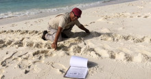 Two-weekly turtle track surveys take place on the Index Beach in Diego Garcia to inform population estimates for hawksbill and green turtles © Nicole Esteban & Graeme Hays