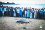 Turtle release at Itsamia beach © Présidence Beit-Salam