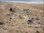 Figure D: Solid waste around Chelonia mydas nests at Hawkse bay, Karachi © Muhammad Faisal, IMS-UoK