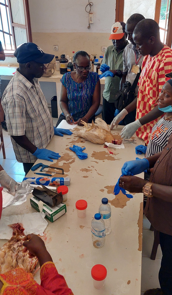 Training on wildlife poisoning, Guinea-Bissau © VCF 