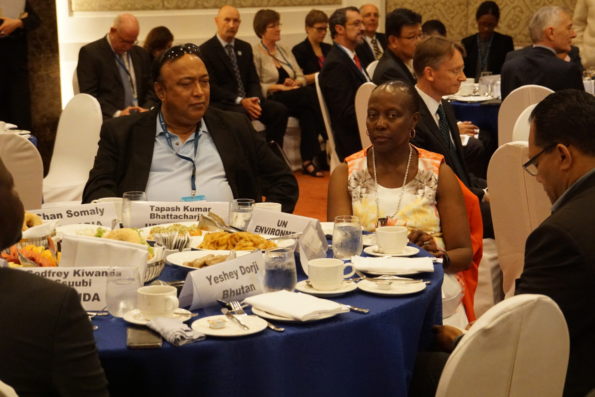 Ms. Elizabeth Mrema, UNEP © Aydin Bahramlouian