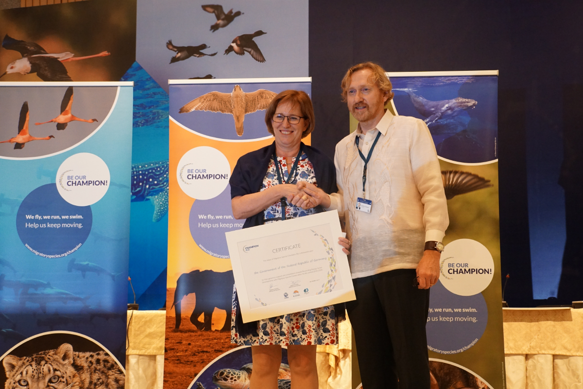 Recognition for Migratory Species Champions © Aydin Bahramlouian