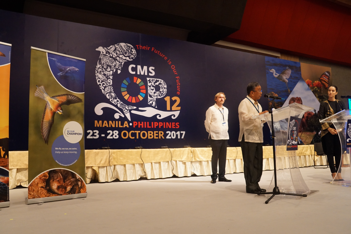 Recognition for Migratory Species Champions © Aydin Bahramlouian