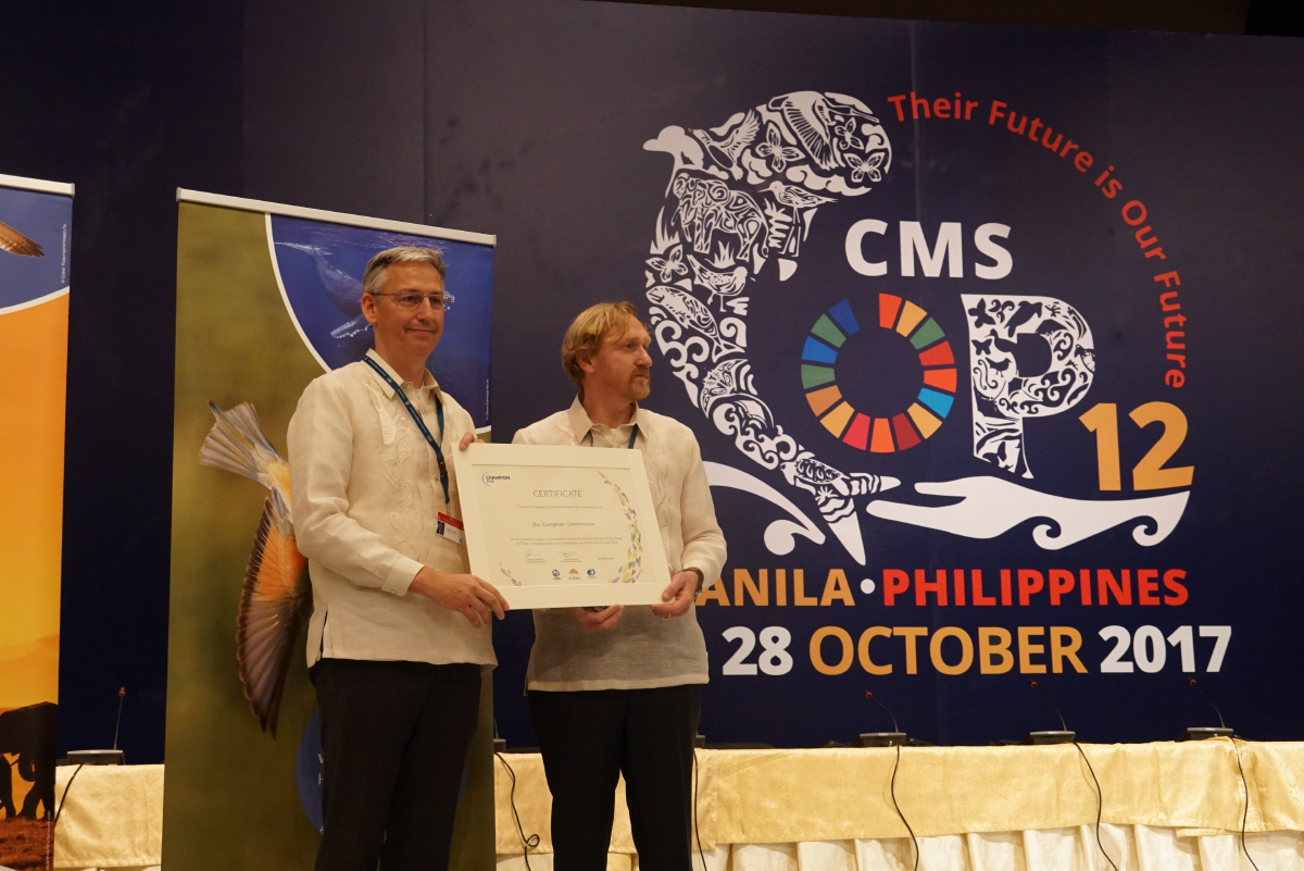 Recognition for Migratory Species Champions © Aydin Bahramlouian