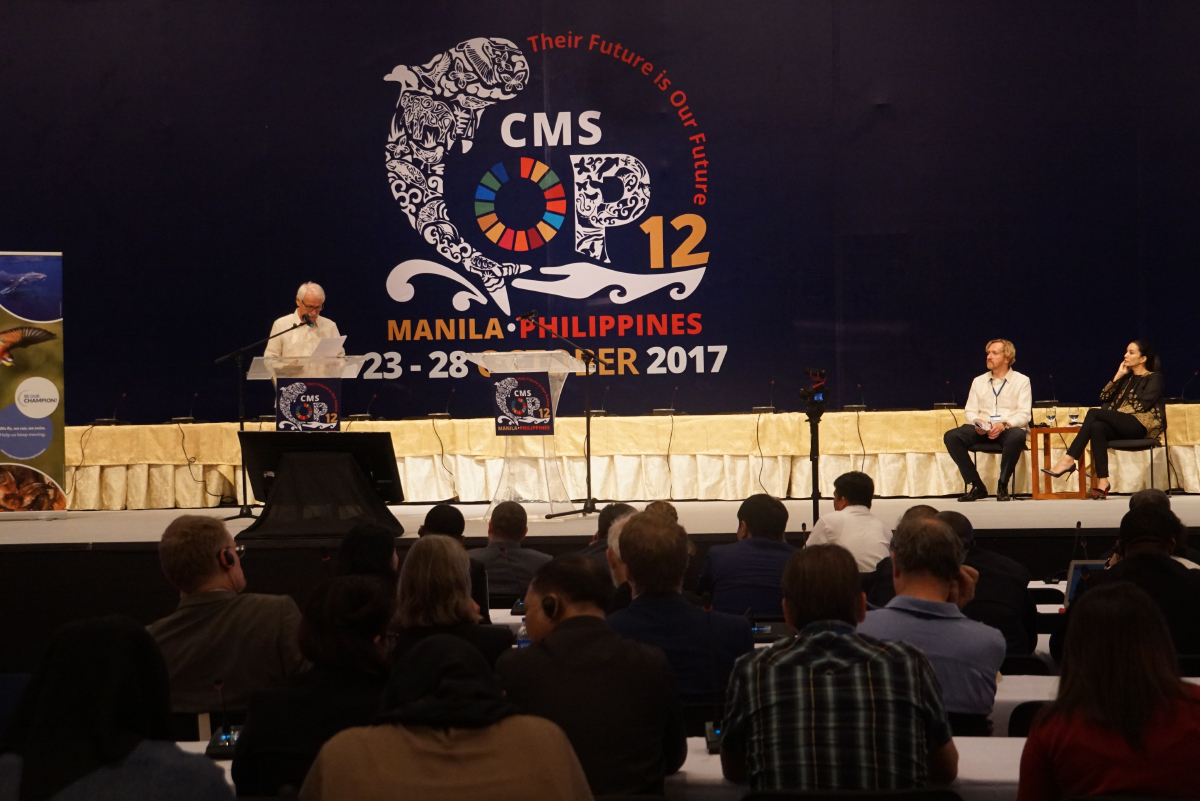 Recognition for Migratory Species Champions © Aydin Bahramlouian