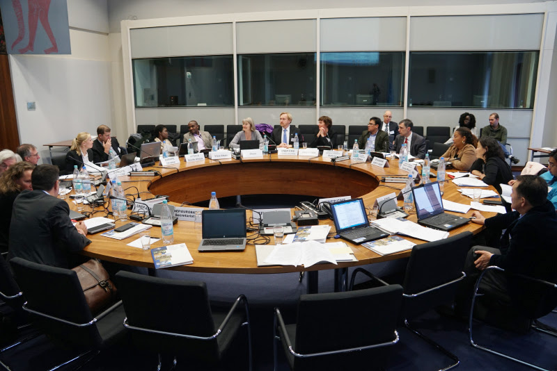 Participants at the second meeting of the Working Group on the Development of a Review Process for CMS