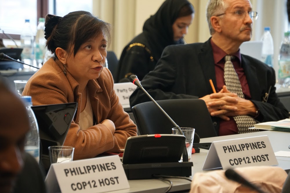 The representatives of the Philippines updating the meeting on progress regarding preparations for COP12
