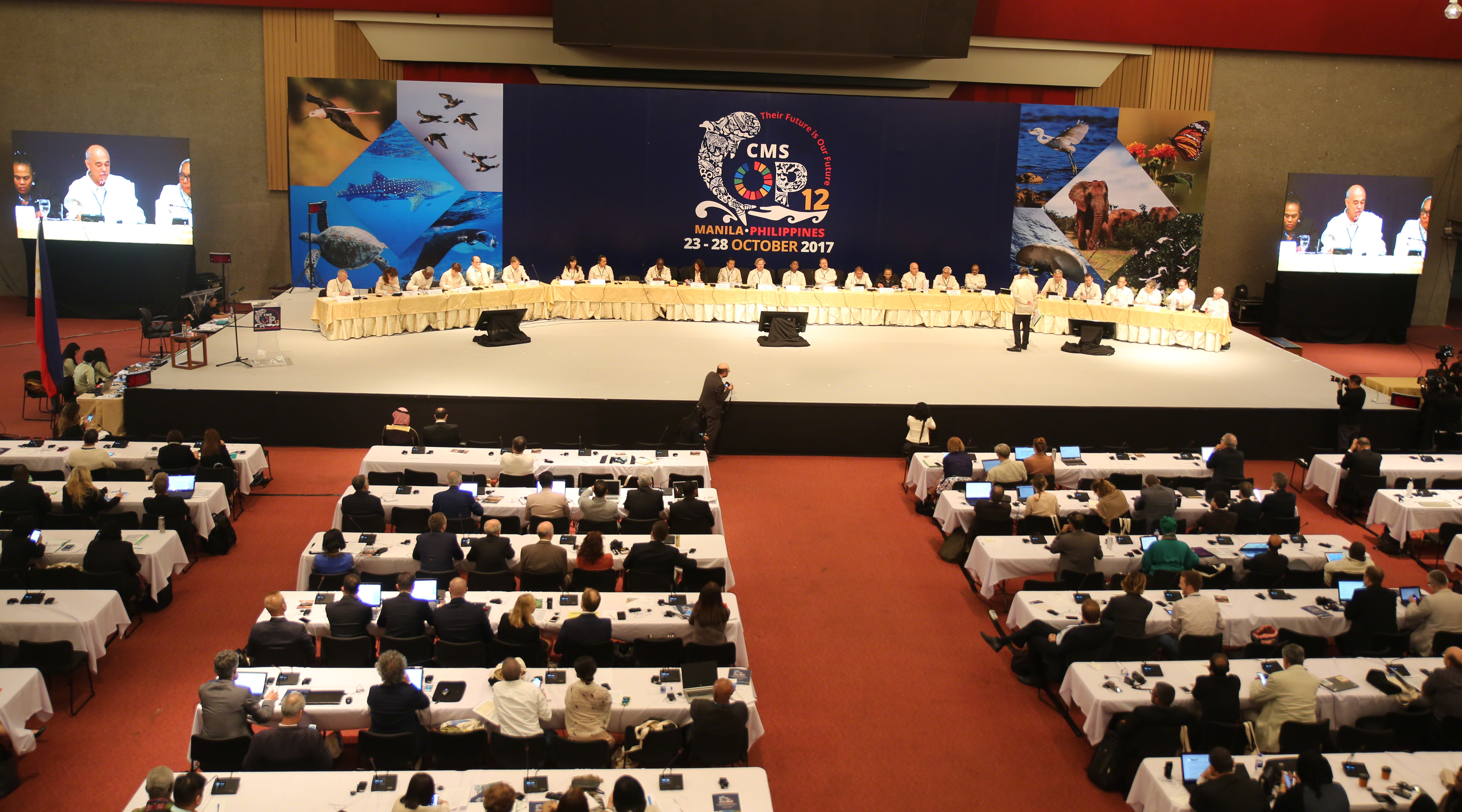 Bird's eye view of the High-level Panel © IISD