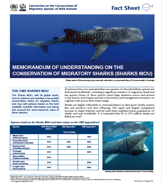 Shark Fact File Sheet.pdf CMS Sharks MOU Fact Sheet | Convention on the Conservation of Migratory ...