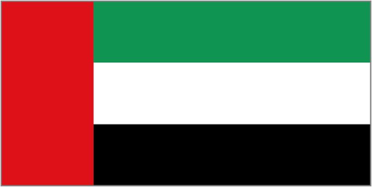The flag of the United Arab Emirates