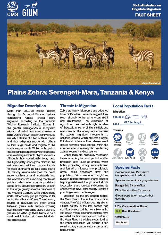 Fact Sheet on Plains Zebra Migration, Serengeti-Mara | Convention on ...
