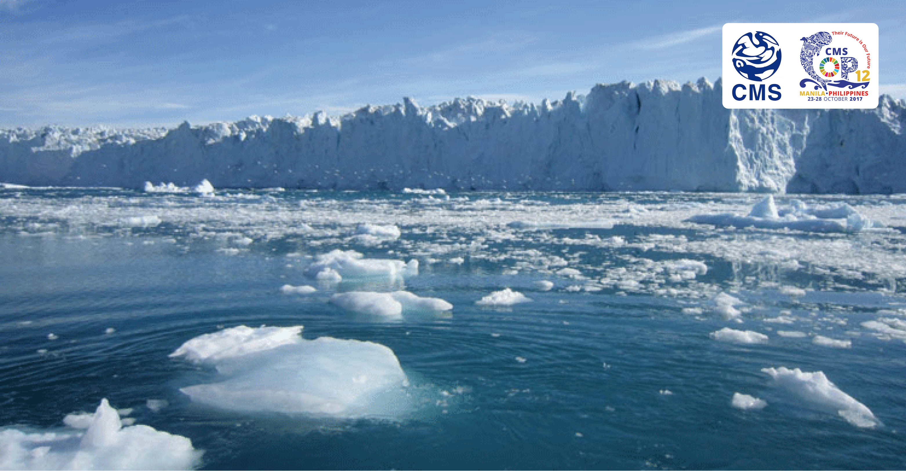 Melting polar ice © NASA/JPL/Rignot
