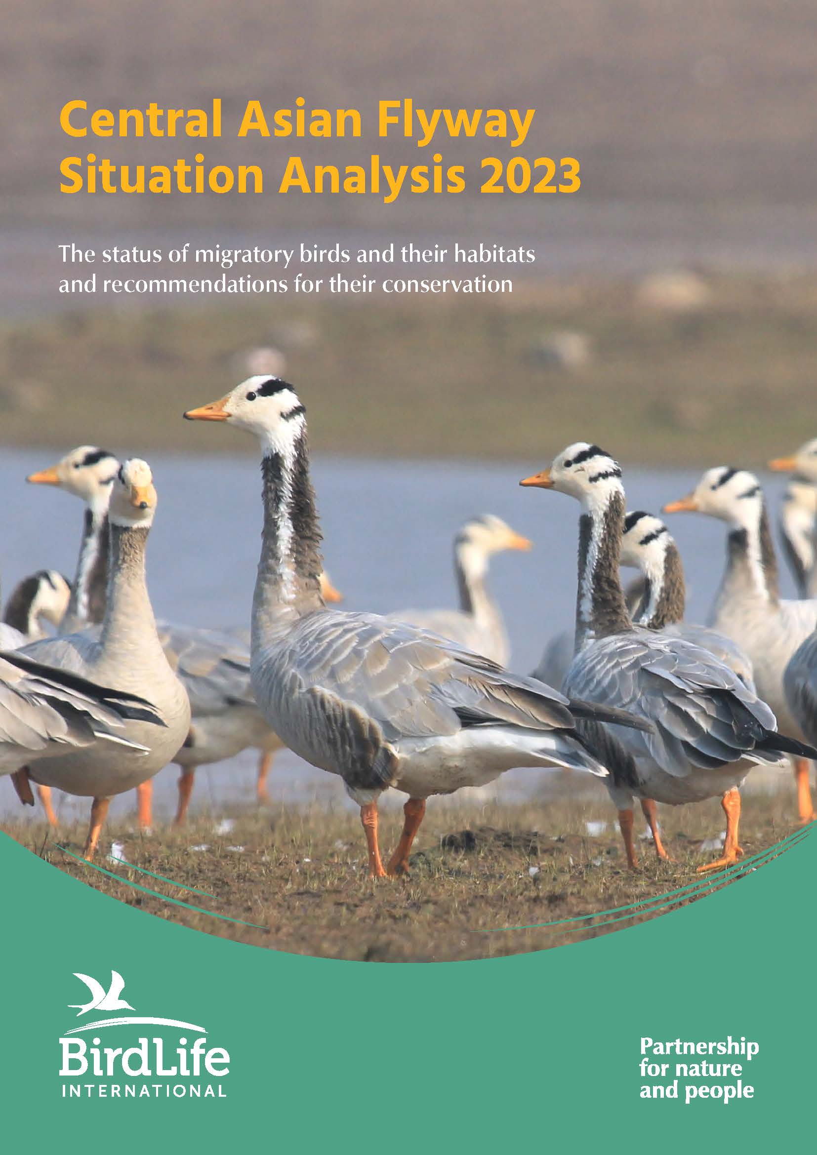 Central Asian Flyway Situation Analysis 2023 | Convention on the ...