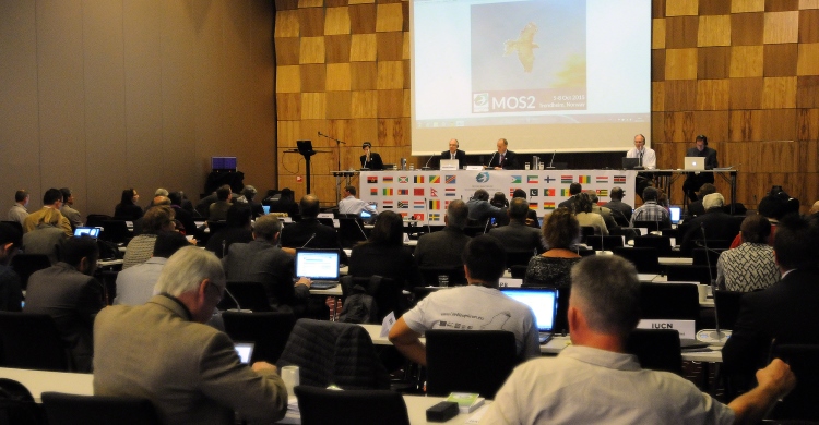 Photo by IISD/ENB (www.iisd.ca/cms/2nd-meeting-signatories-raptors-mou/6oct.html)