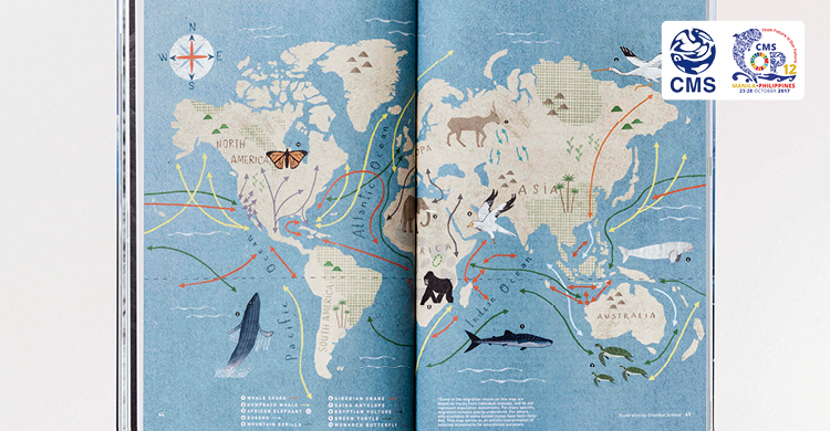 TRACKS – the Inflight Magazine for CMS COP12, now available as extended online version