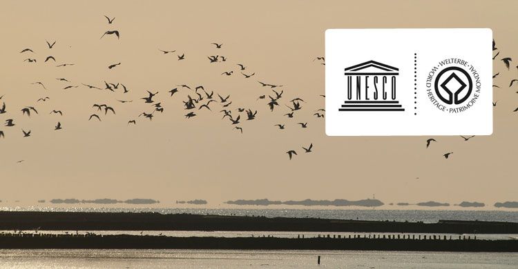 Wadden Sea