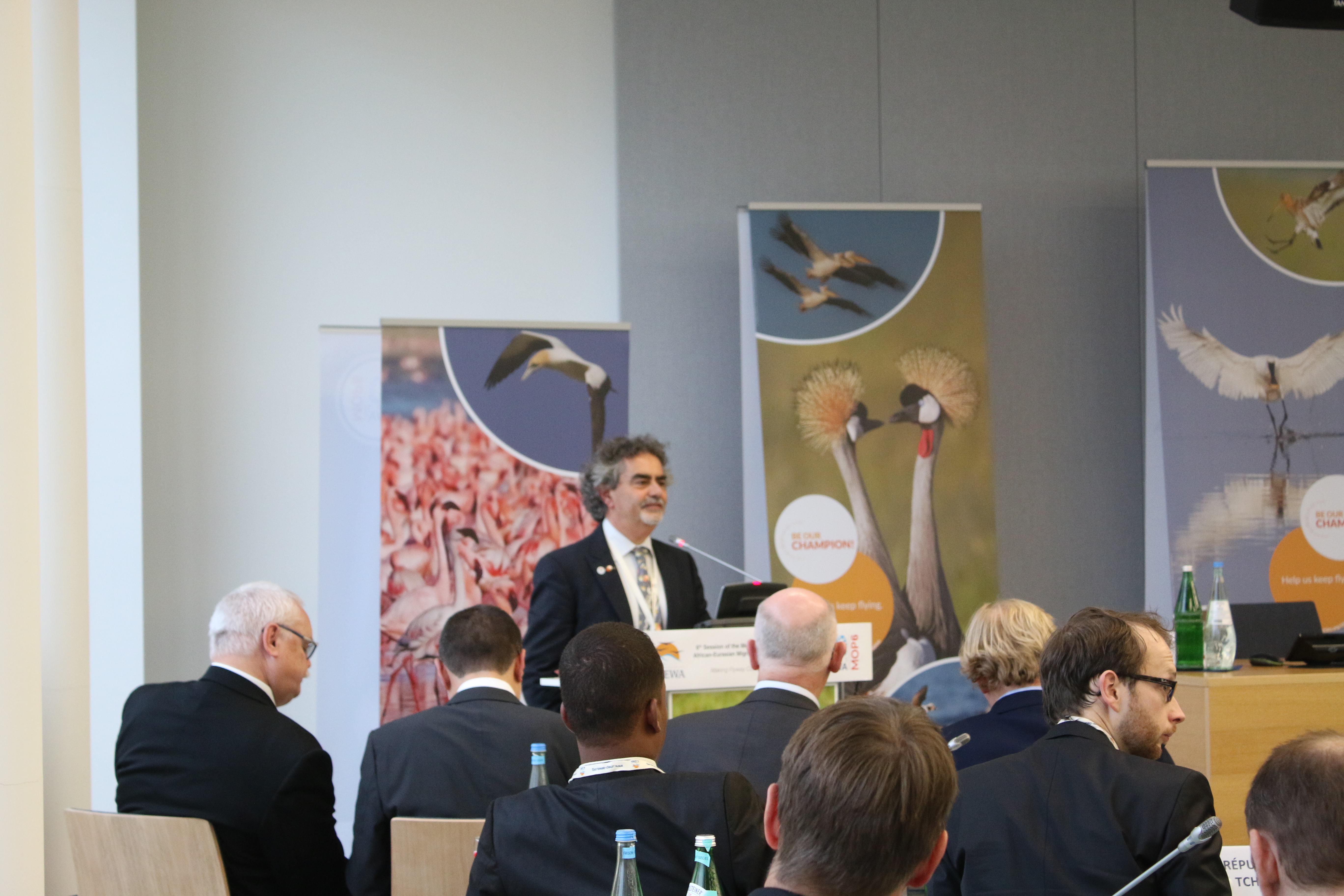 Fernando Spina speeking during the Migratory Species Champions Award ceremony © IISD