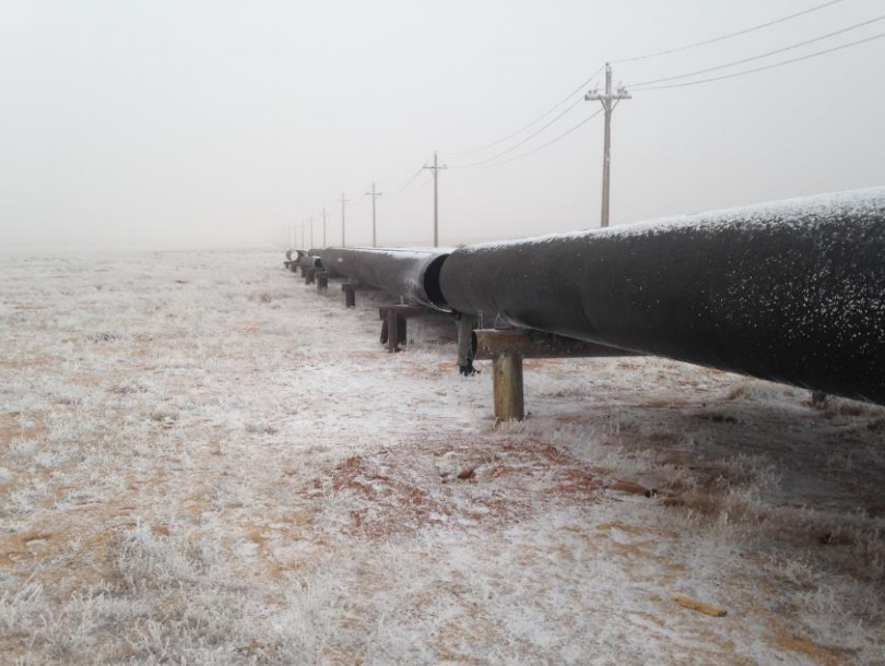 Pipeline in Central Asia © WCS K. Murphy