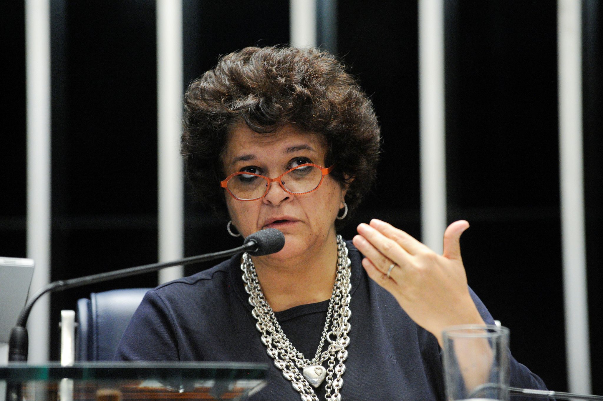 Ministra de Medioambiente de Brasil,  Izabella Teixeira