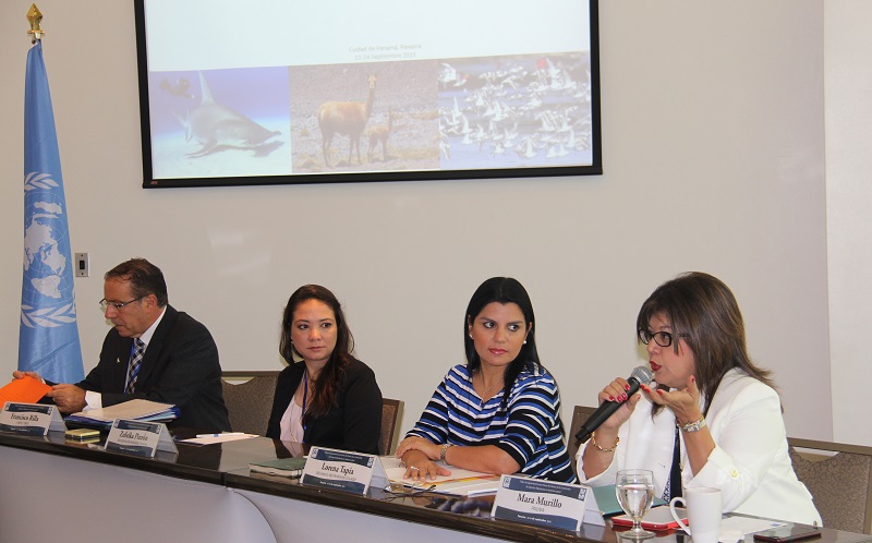 capacity-building workshop for Latin American countries that are not Parties to the Convention