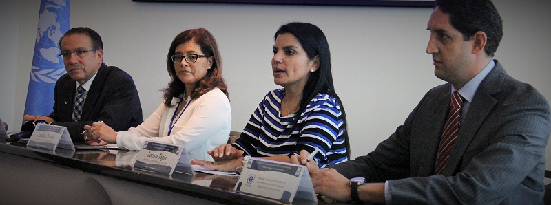 capacity-building workshop for Latin American countries that are not Parties to the Convention