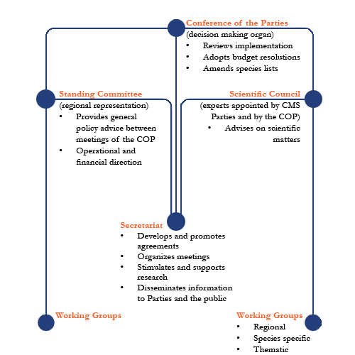 Group Home Organizational Chart