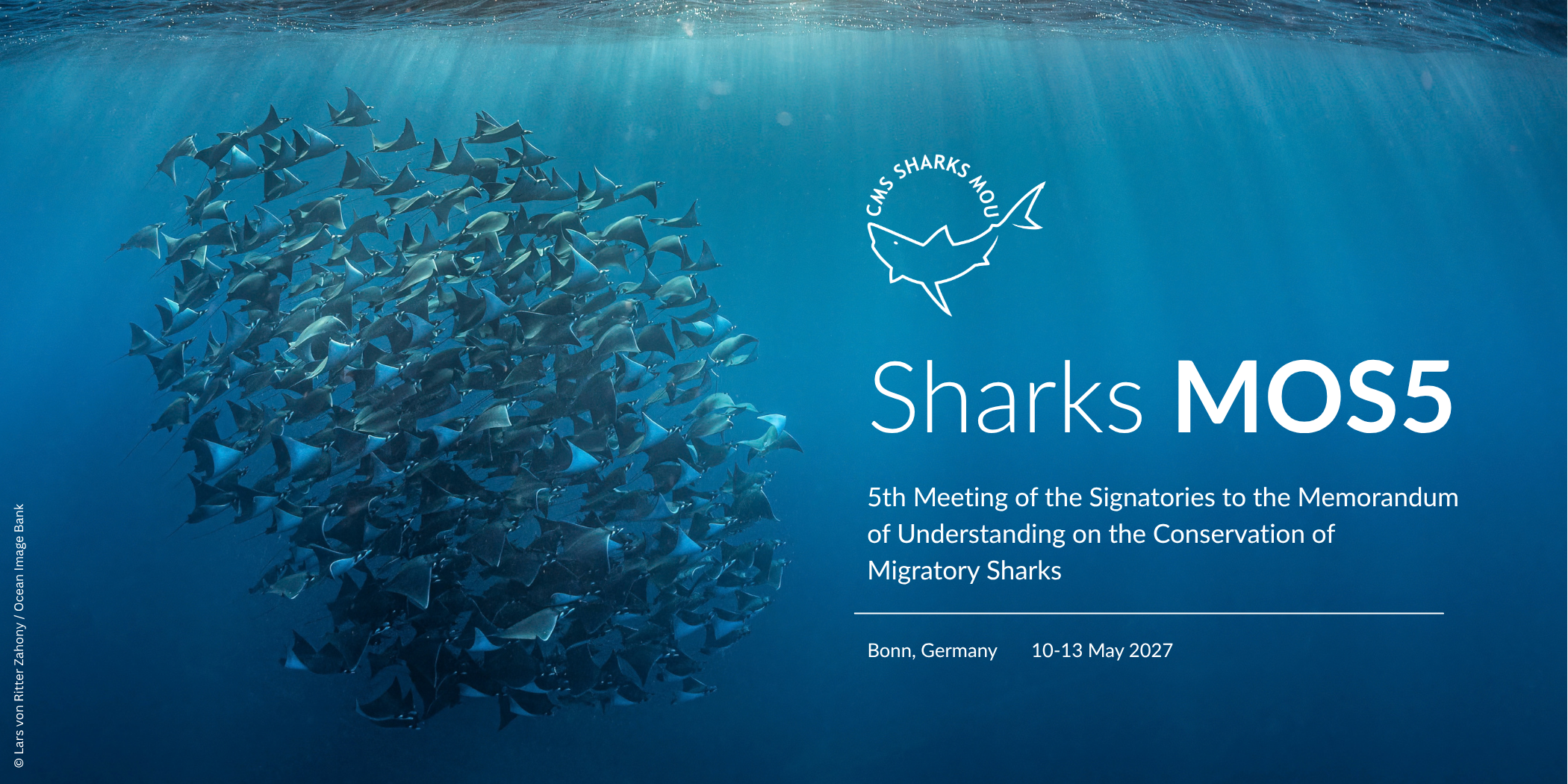 Sharks MOS5