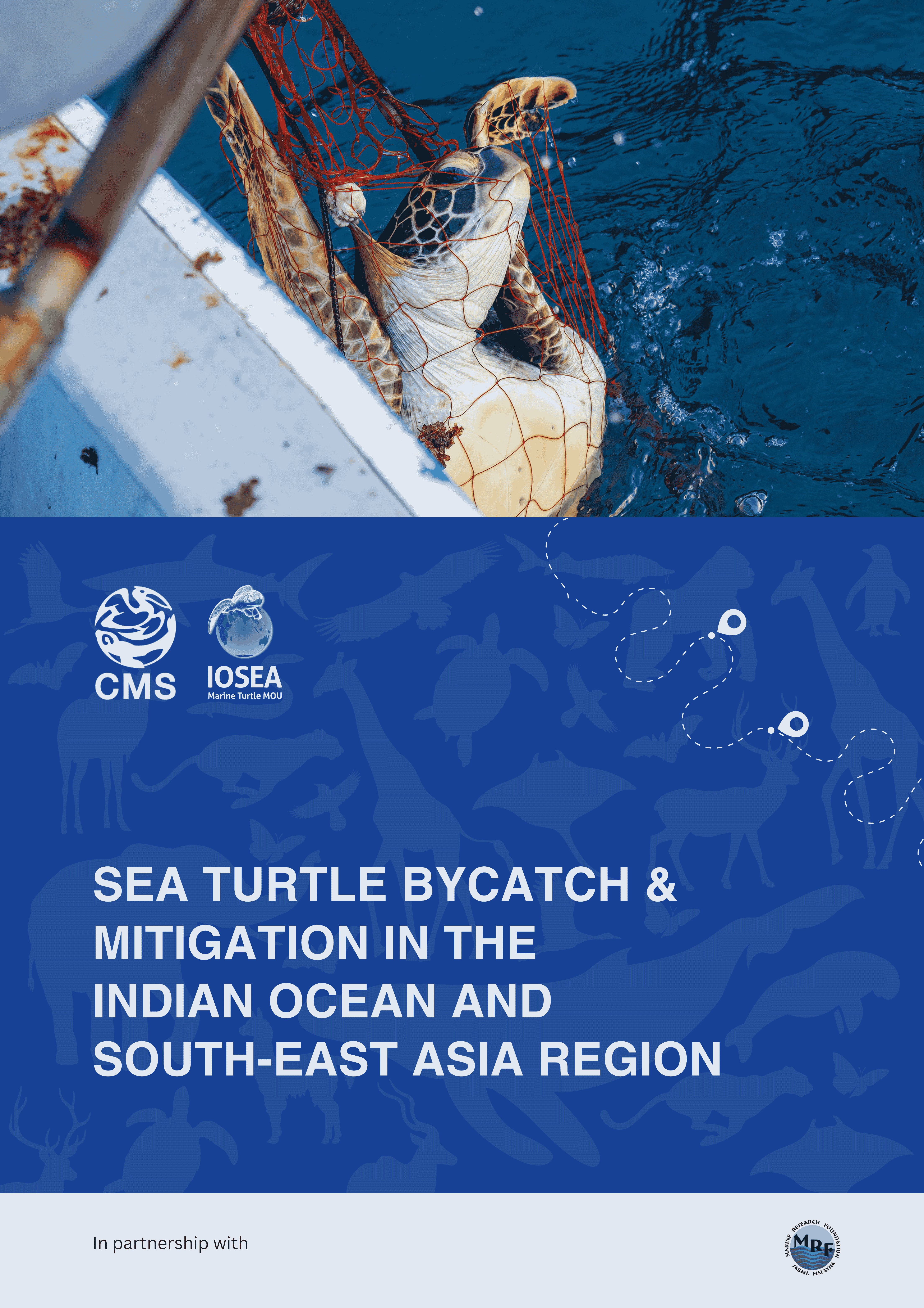Sea Turtle Bycatch Report Cover