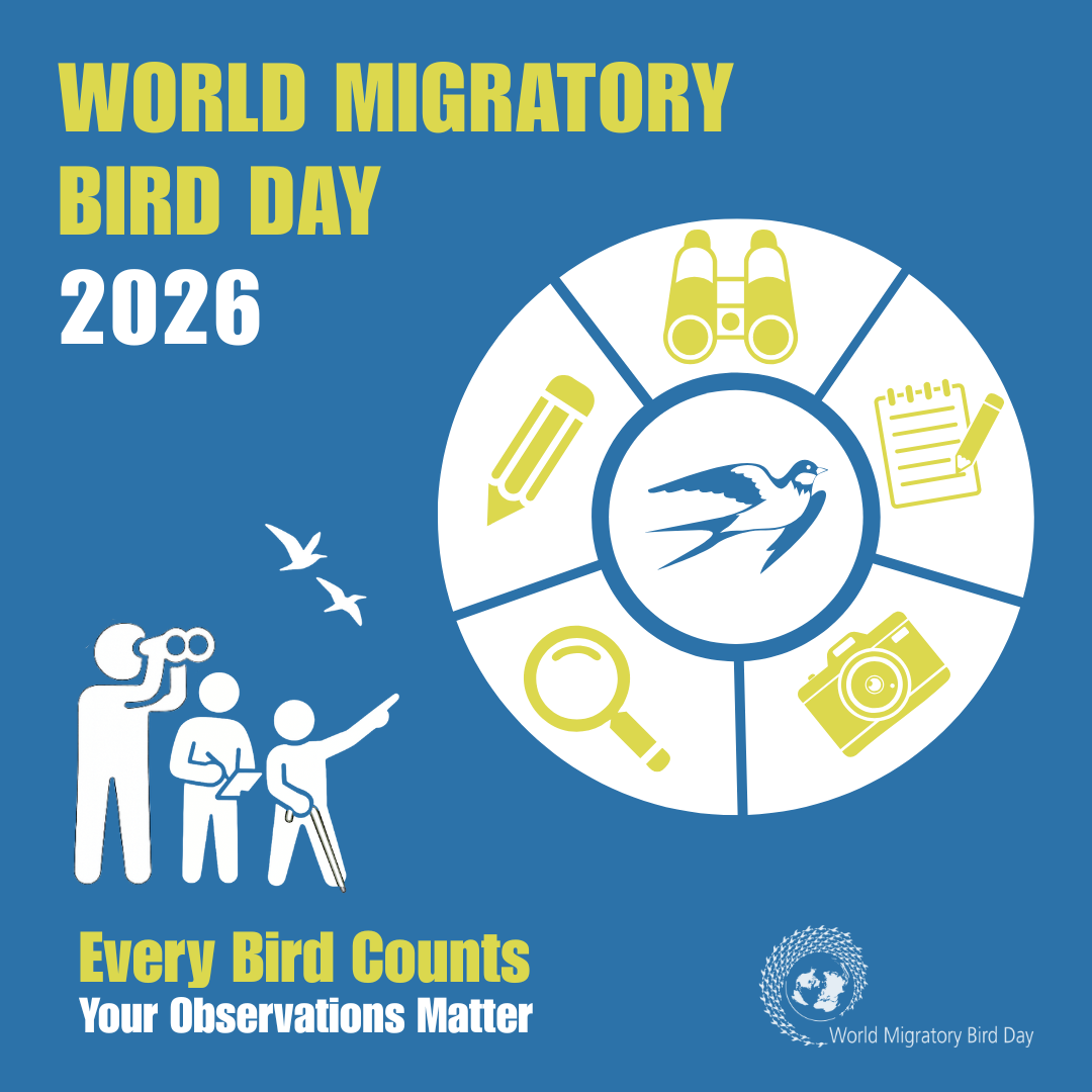 WMBD 2026 graphic