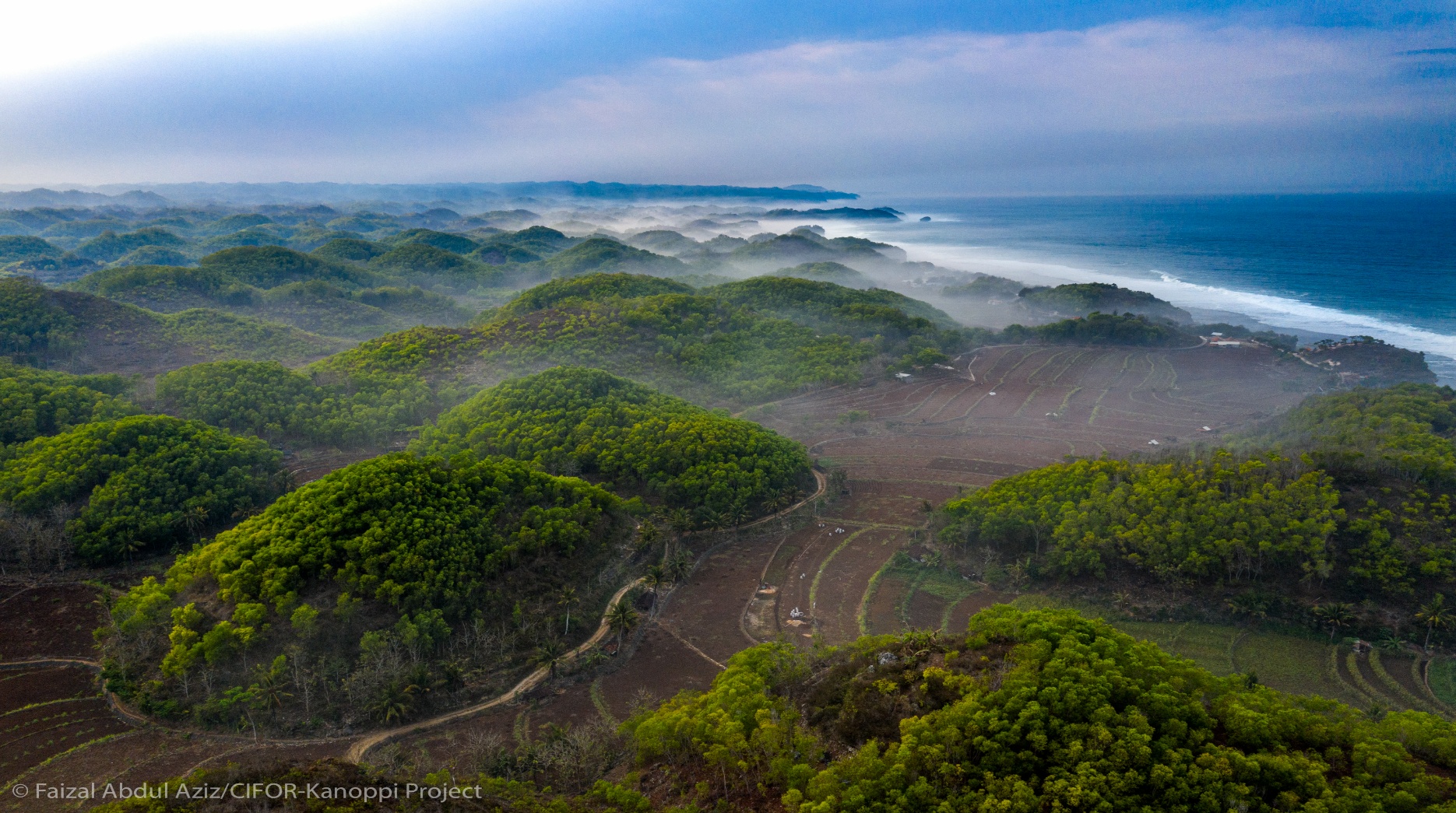 A aerial view of a forest
AI-generated content may be incorrect.