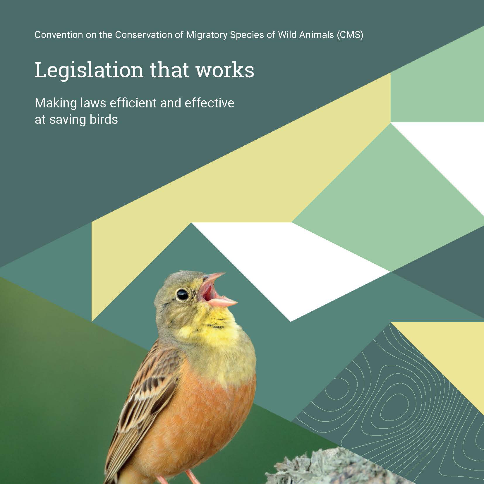 Legislation cover
