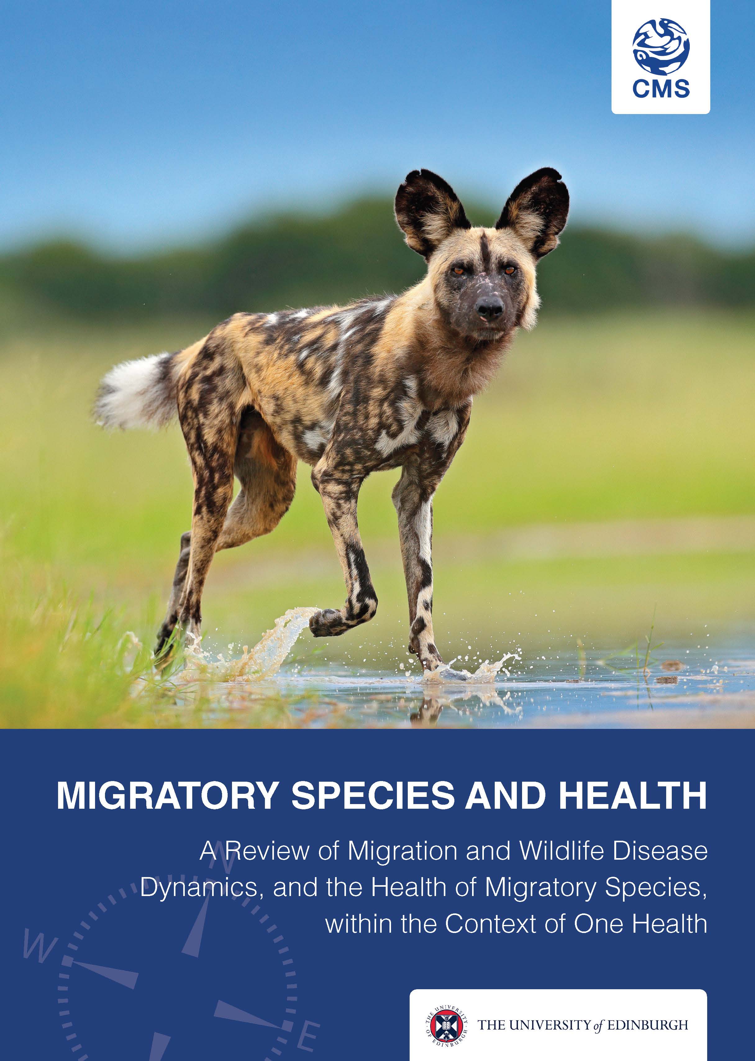 Review cover