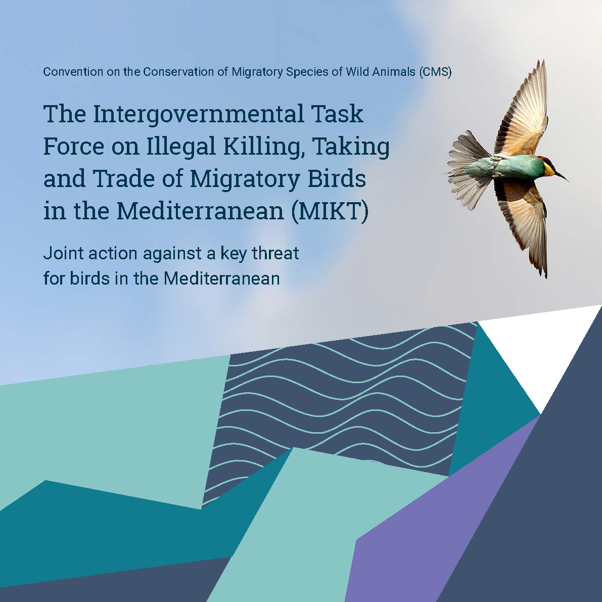 mikt_brochure_image