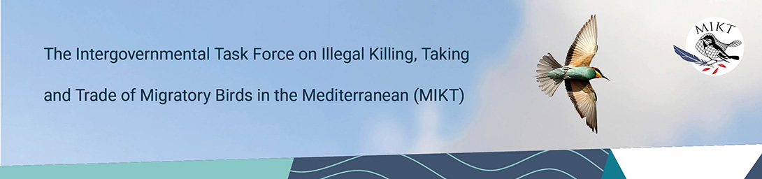 mikt