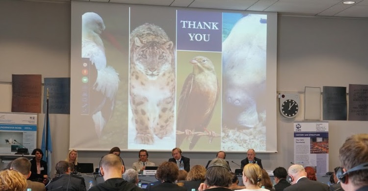 45th CMS Standing Committee Meeting - 9-10 November 2016, Bonn, Germany