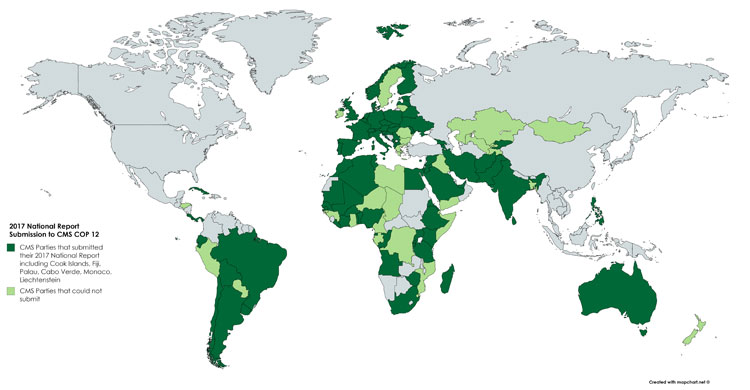 Map of National Report Submission to CMS 