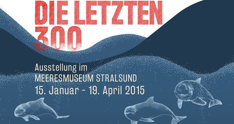 Schweinswal Pin - Whale and Dolphin Conservation Deutschland