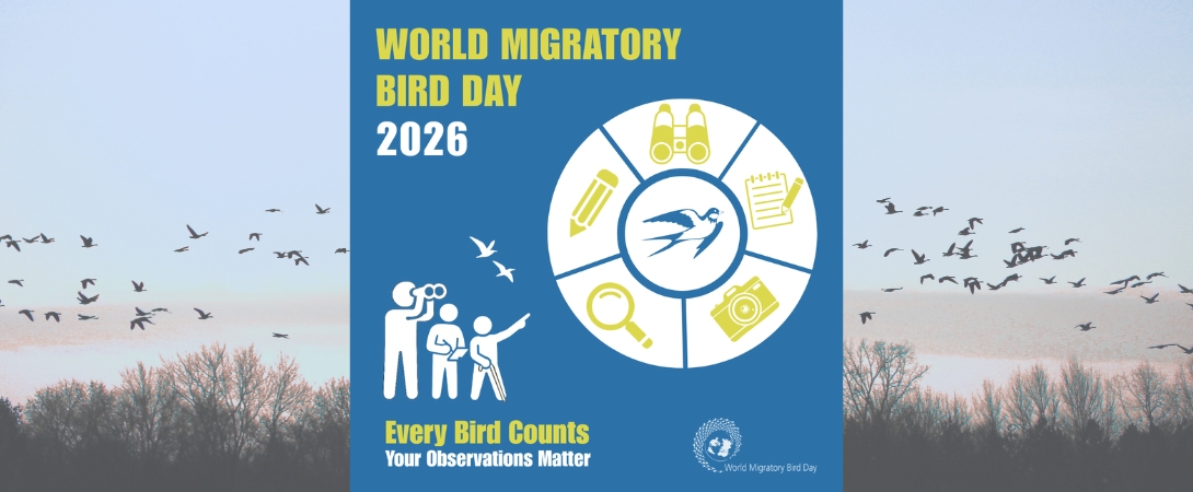WMBD 2026 graphic