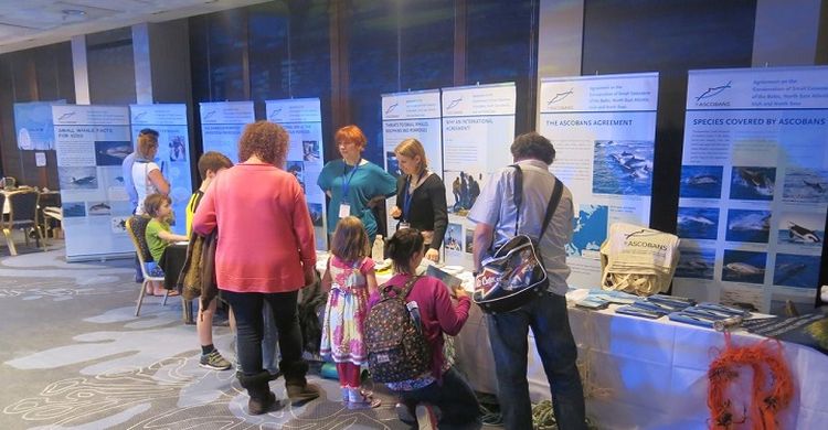CMS/ASCOBANS stand at the WhaleFest © R. Deaville / UK CSIP