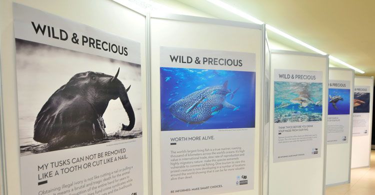 Wild and Precious Exhibition  © IISD