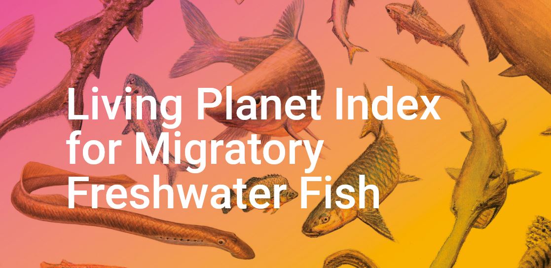 Living Planet Index - Freshwater Fish
