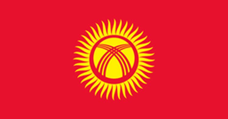 the flag of Kyrgyzstan