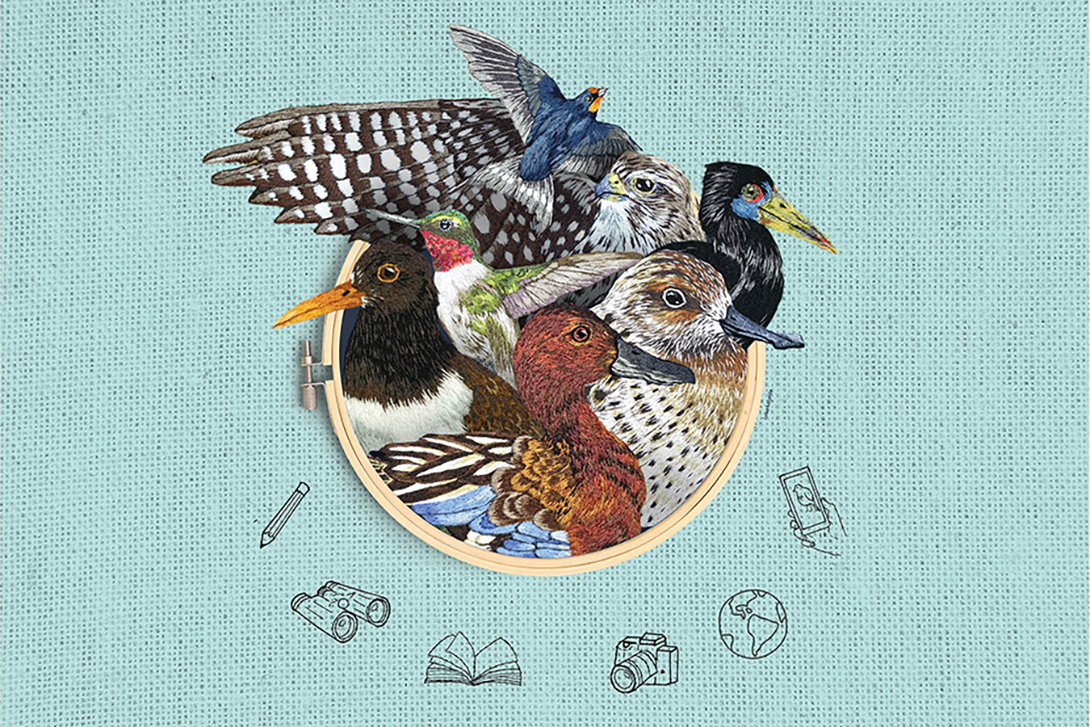 World Migratory Bird Day 2026 Global Poster (Artwork by Luísa Lacerda)