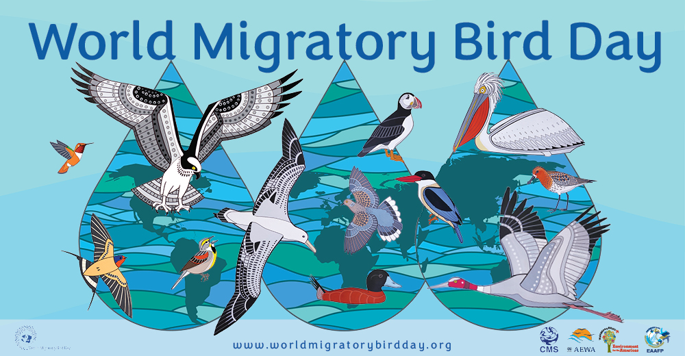World Migratory Bird Day 2023 CMS