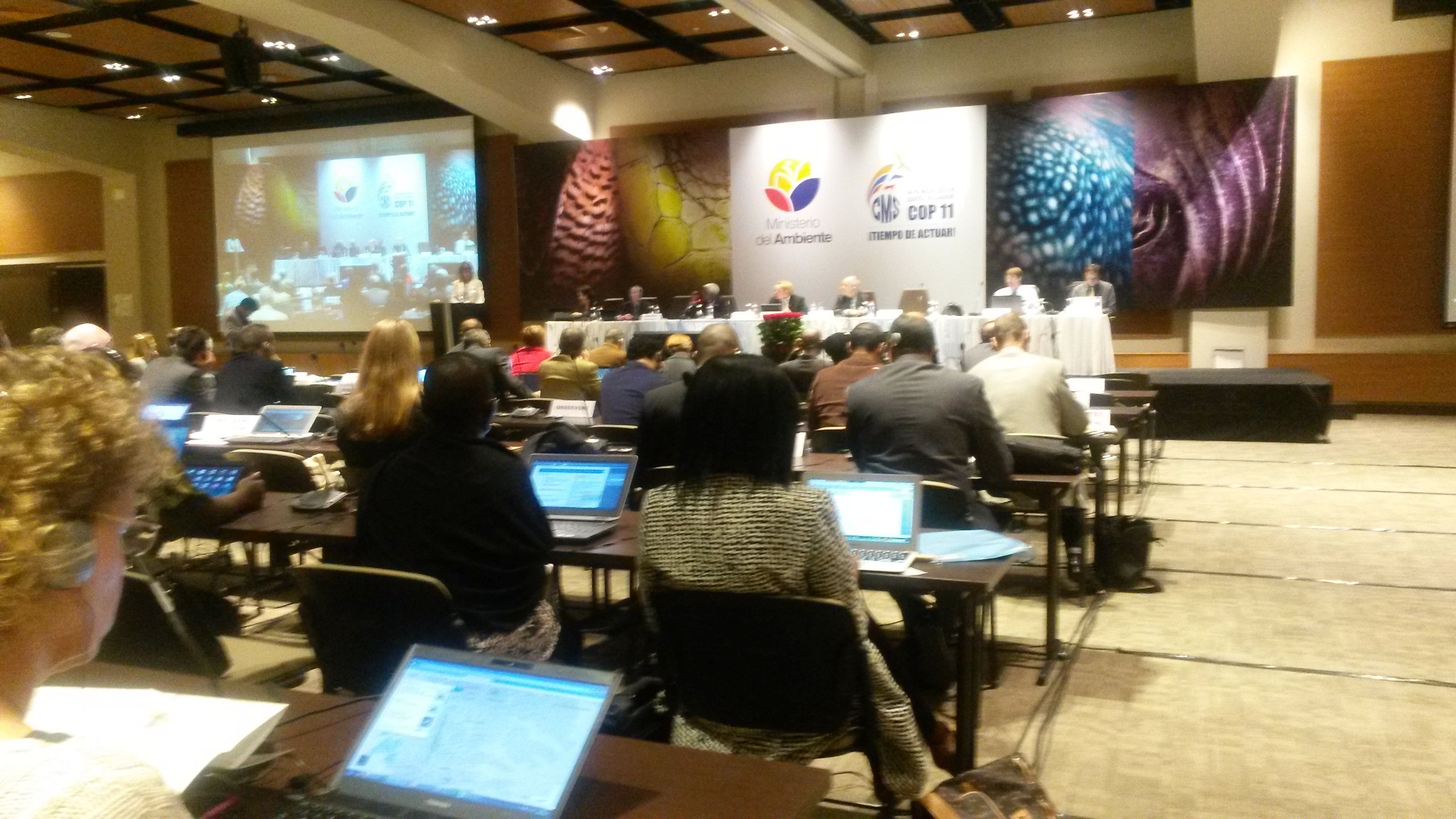 Standing Committee, 2 November © Florian Keil, UNEP/AEWA